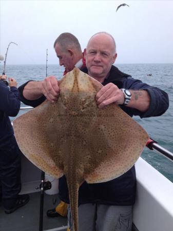 14 lb Blonde Ray by Alan