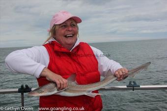 6 lb Starry Smooth-hound by Linda