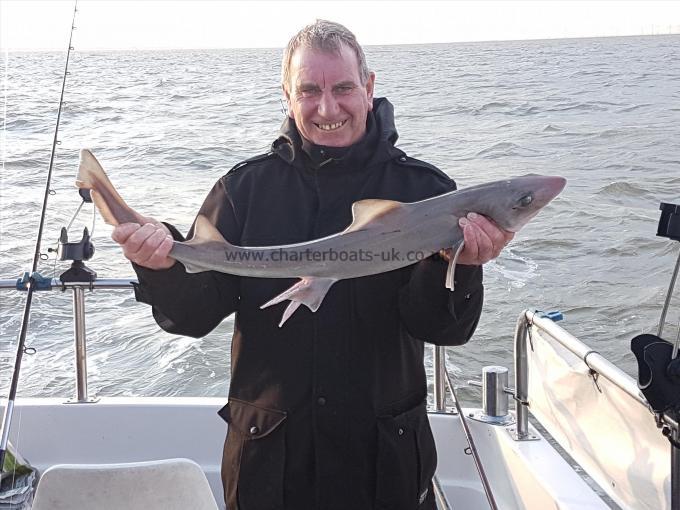 5 lb Starry Smooth-hound by Dave smith
