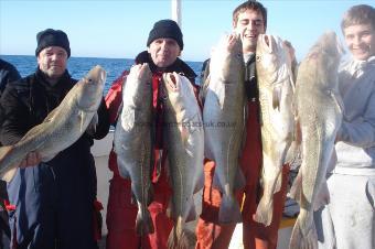 23 lb Cod by A good Group