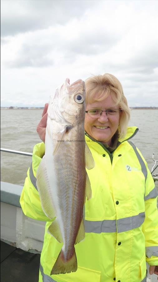 2 lb Whiting by Carol