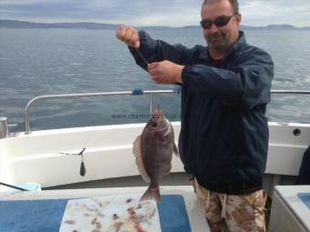 3 lb 2 oz Black Sea Bream by Unknown