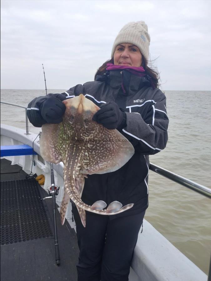 5 lb Thornback Ray by Angela