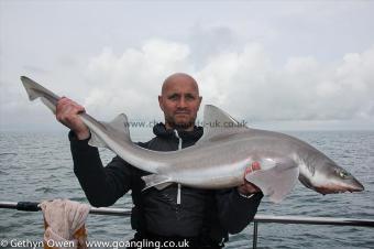 15 lb Starry Smooth-hound by Richard