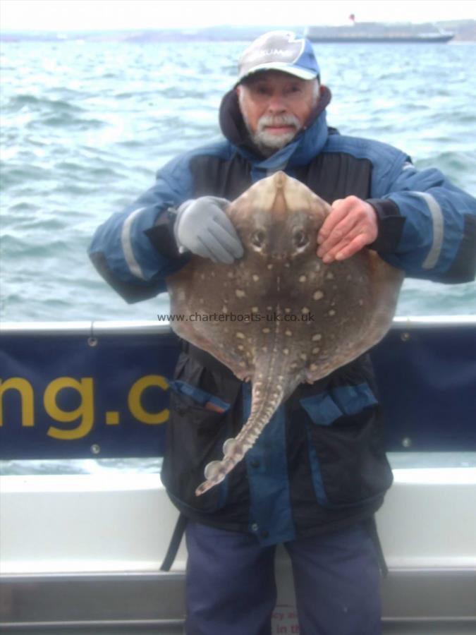 9 lb Thornback Ray by Ian Youngs