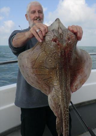 15 lb 7 oz Undulate Ray by Mick Berry