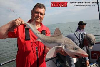 11 lb Starry Smooth-hound by LLoyd