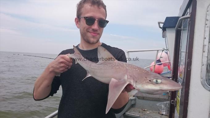 6 lb 2 oz Starry Smooth-hound by Colin