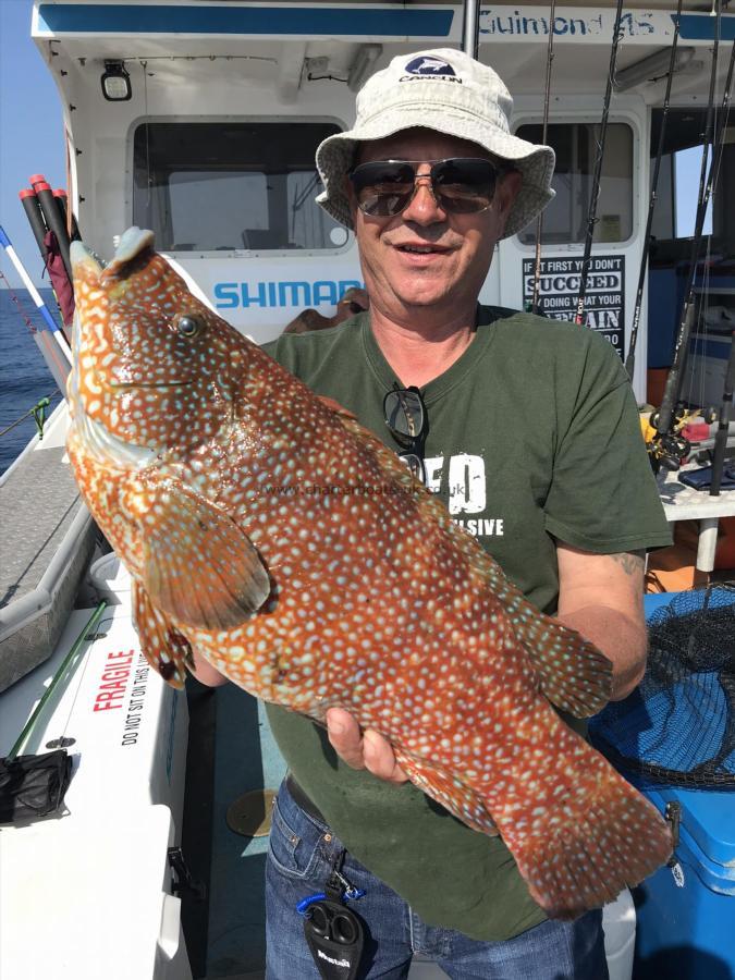 7 lb 6 oz Ballan Wrasse by Kevin McKie