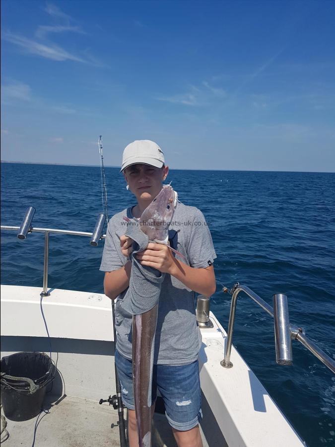 14 lb Conger Eel by Unknown