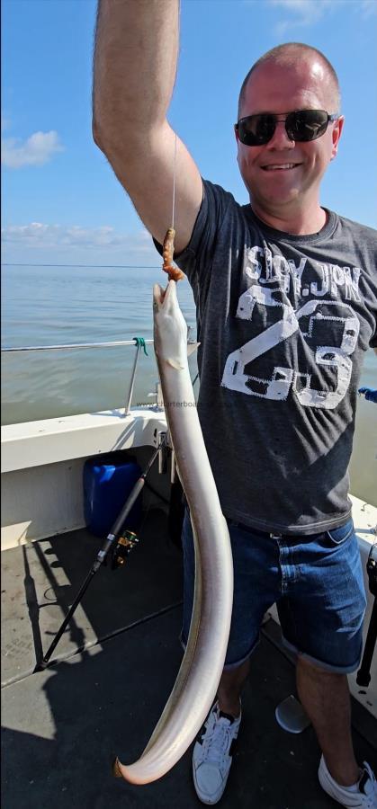 1 lb European Eel by Unknown