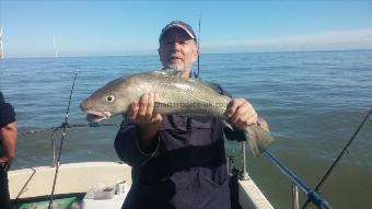 7 lb 2 oz Cod by Unknown