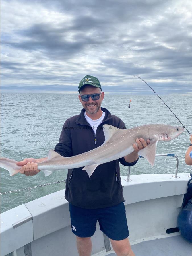 12 lb 3 oz Smooth-hound (Common) by Unknown