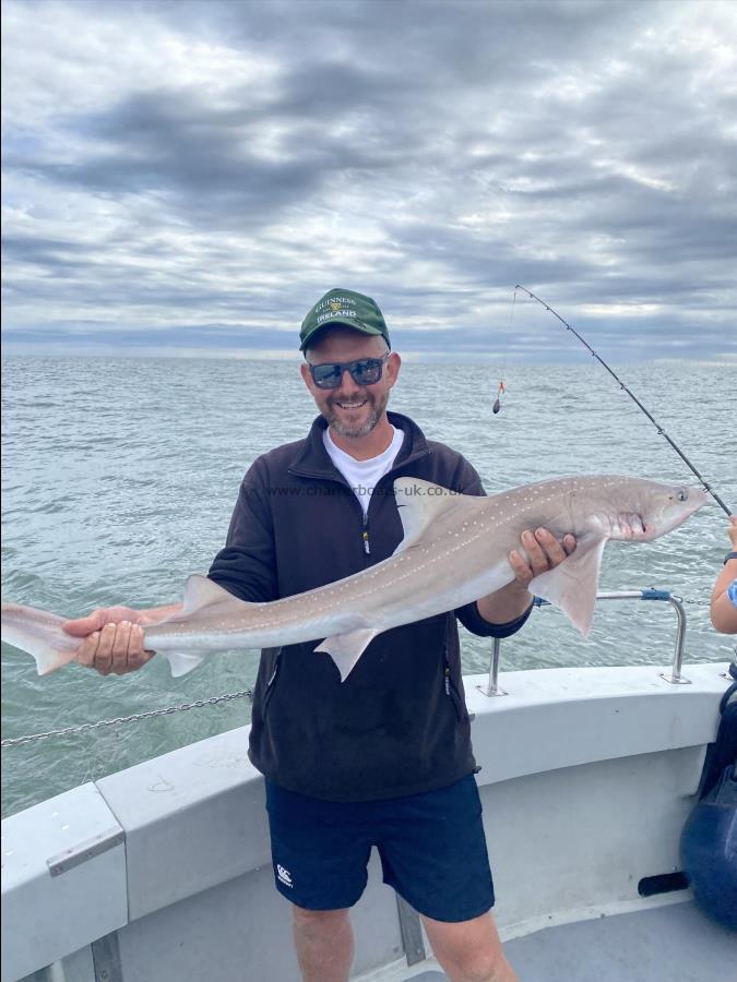 12 lb 3 oz Smooth-hound by Unknown