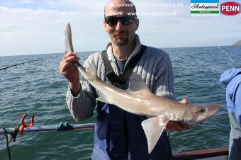 8 lb Starry Smooth-hound by Peter