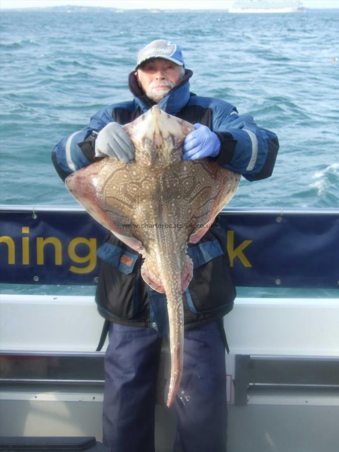 14 lb Undulate Ray by Ian Youngs