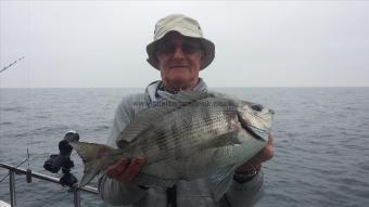 4 lb Black Sea Bream by alan