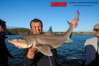 18 lb Starry Smooth-hound by Chris