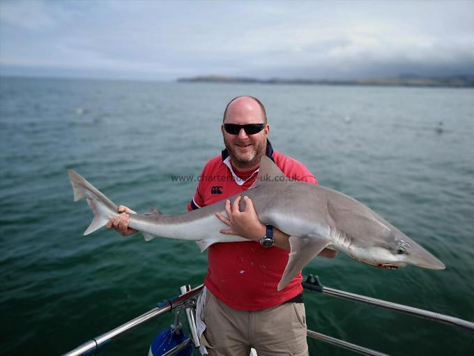 48 lb Tope by Unknown