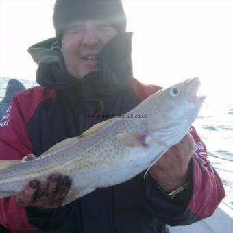 4 lb Cod by John