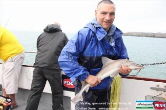 6 lb Starry Smooth-hound by Dave