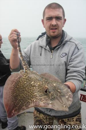 7 lb Thornback Ray by Sam