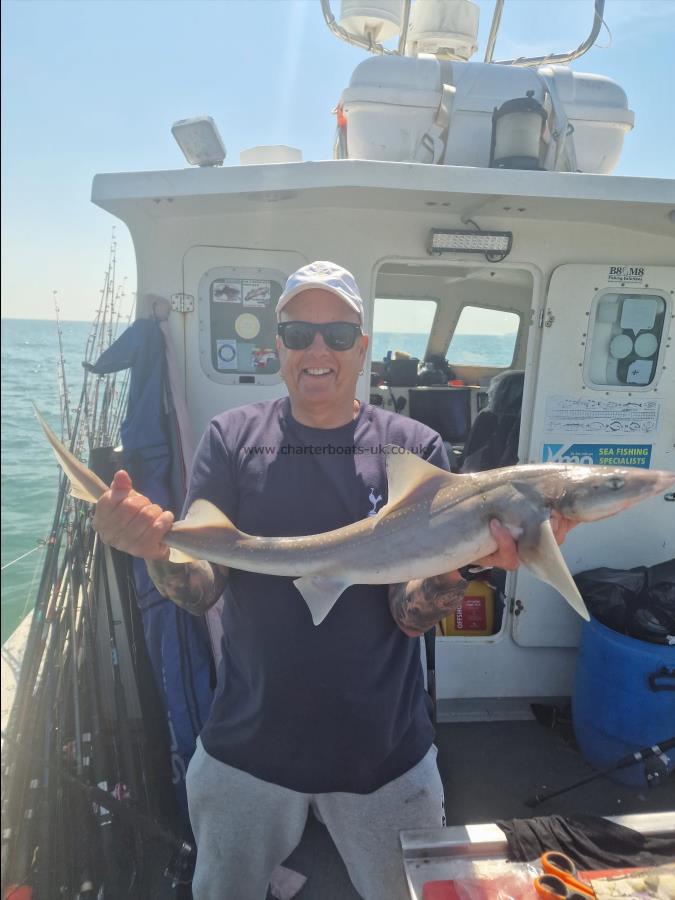 6 lb Starry Smooth-hound by Unknown