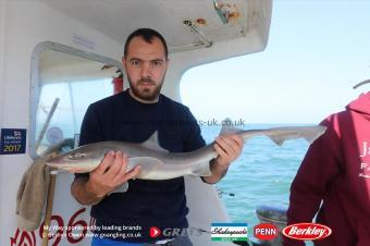 7 lb Starry Smooth-hound by Craig