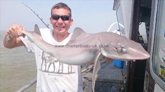 11 lb 6 oz Starry Smooth-hound by John from london