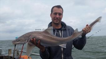 11 lb Smooth-hound (Common) by Alan.