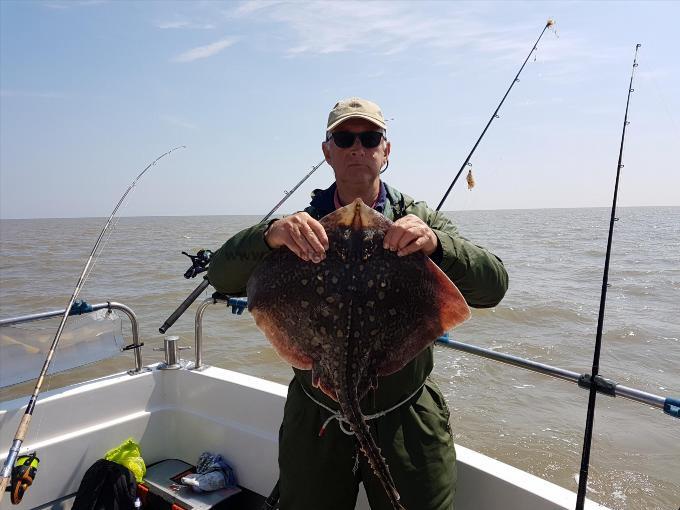 6 lb Thornback Ray by Terry