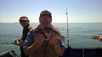 2 lb 8 oz Black Sea Bream by Stephen Wake