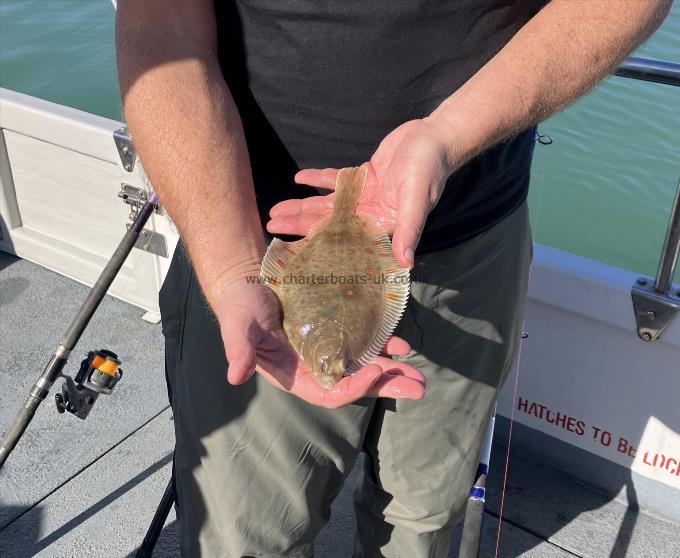 4 oz Plaice by Unknown