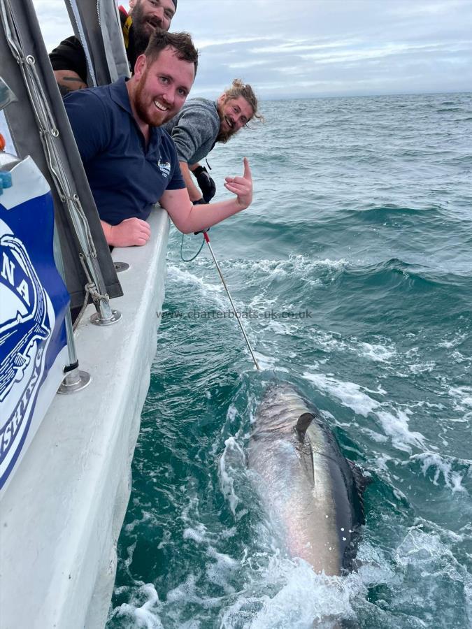 1 lb Bluefin Tuna by Chris Martin
