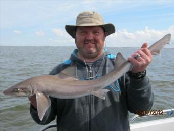 5 lb 14 oz Smooth-hound by Unknown