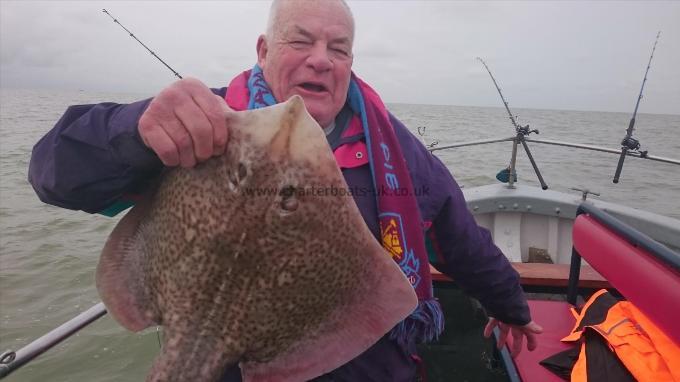 11 lb Thornback Ray by Unknown