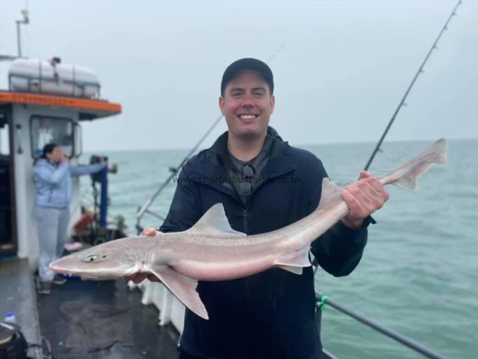 8 lb Starry Smooth-hound by Unknown