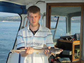 3 lb 5 oz Starry Smooth-hound by Unknown