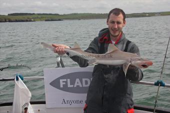 7 lb Starry Smooth-hound by Mark
