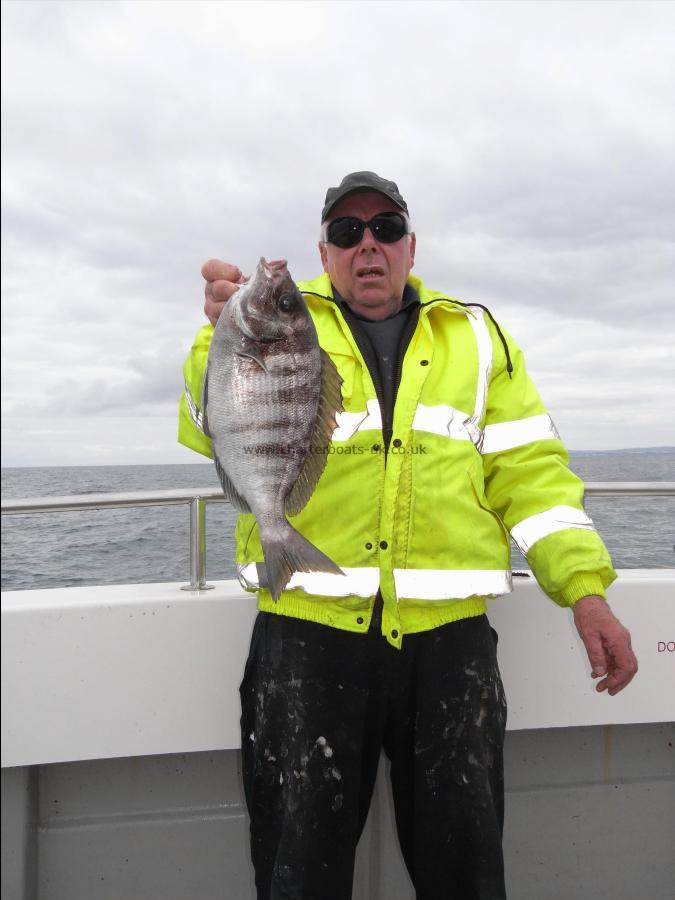 2 lb Black Sea Bream by Unknown