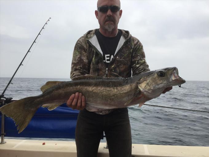 12 lb Pollock by Steve Tolly