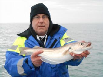 2 lb 13 oz Whiting by Pete Hector
