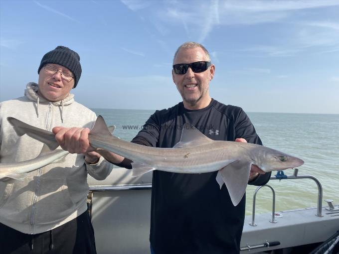 6 lb Smooth-hound by Unknown