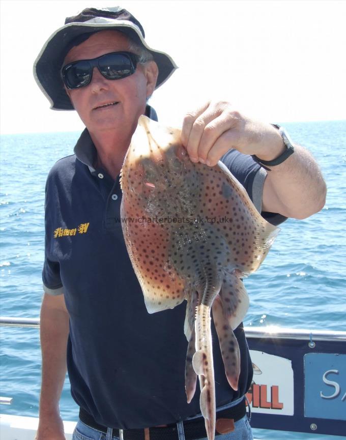 4 lb Spotted Ray by David Metcalf