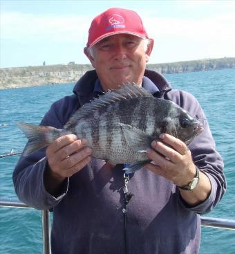 4 lb Black Sea Bream by Mick Nunn