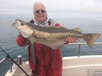 12 lb 3 oz Pollock by Roy Shipway