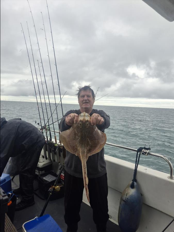 5 lb Undulate Ray by Barry luxton