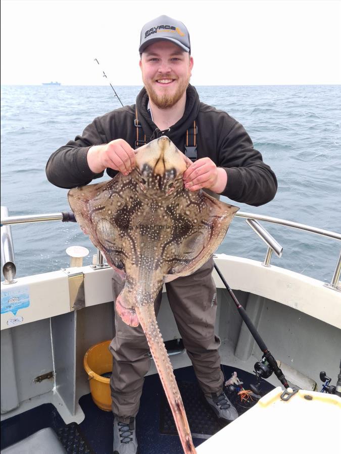 12 lb Undulate Ray by Jack