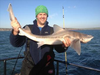 12 lb Starry Smooth-hound by Merthyr Boys