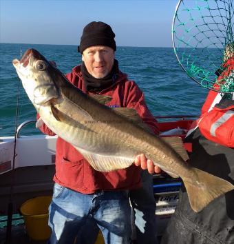 19 lb 8 oz Pollock by Steve